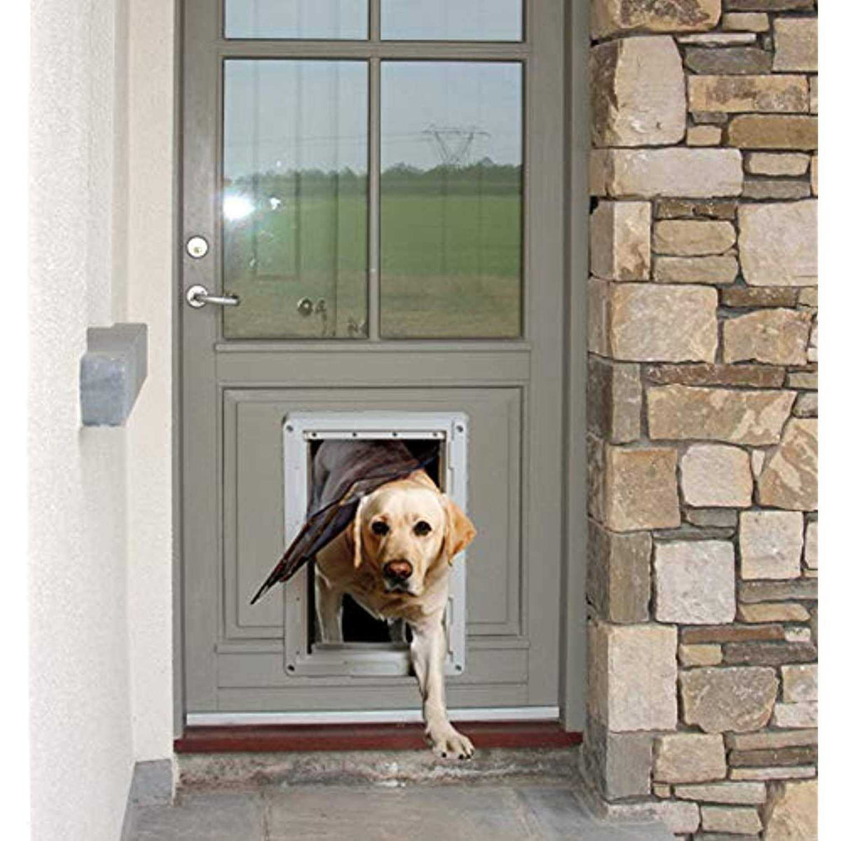 Pet Door S435402