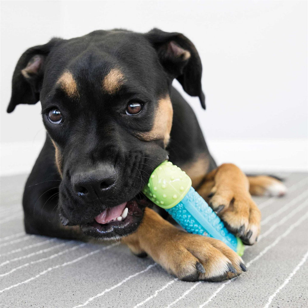 Dog Toy S45850