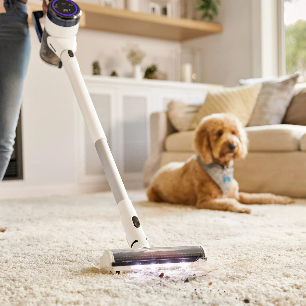 Cordless Stick Vacuum Cleaner H101