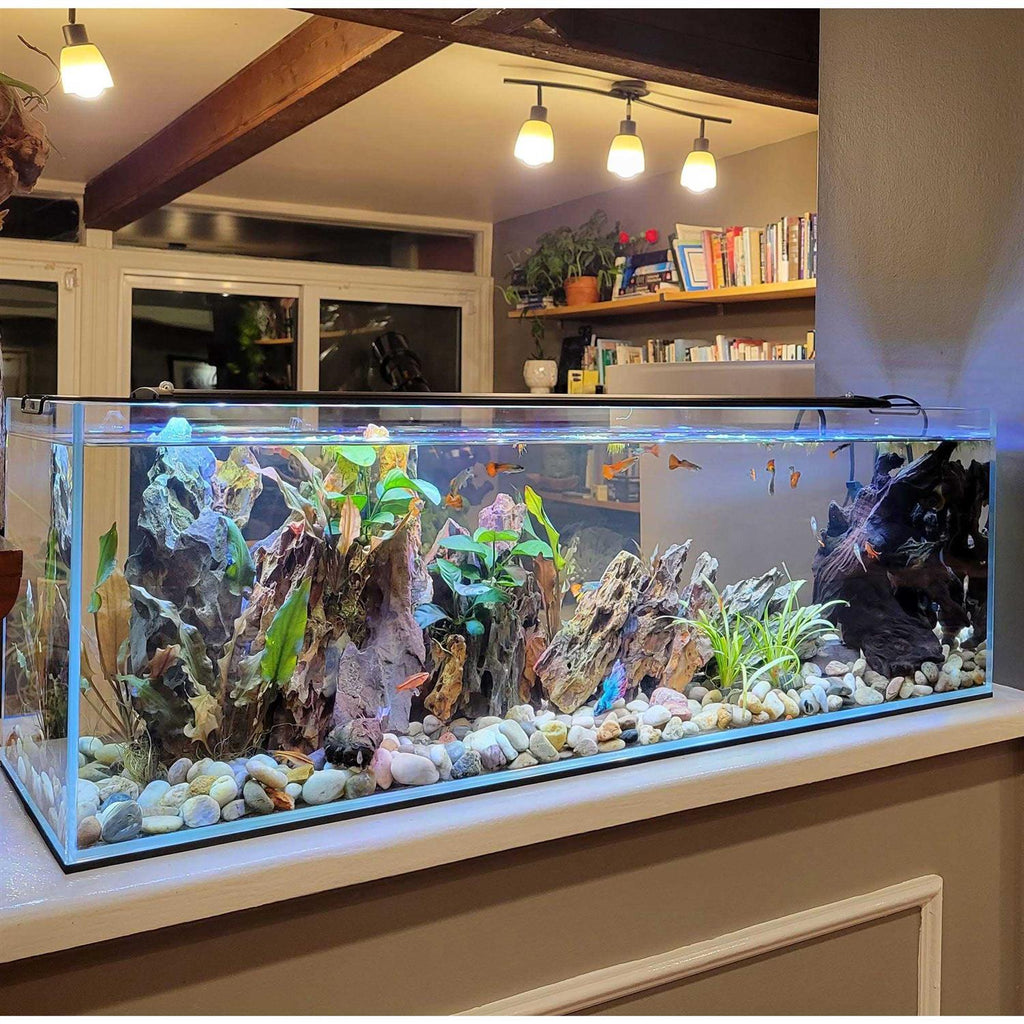 Crystal Bookshelf Aquarium J911143
