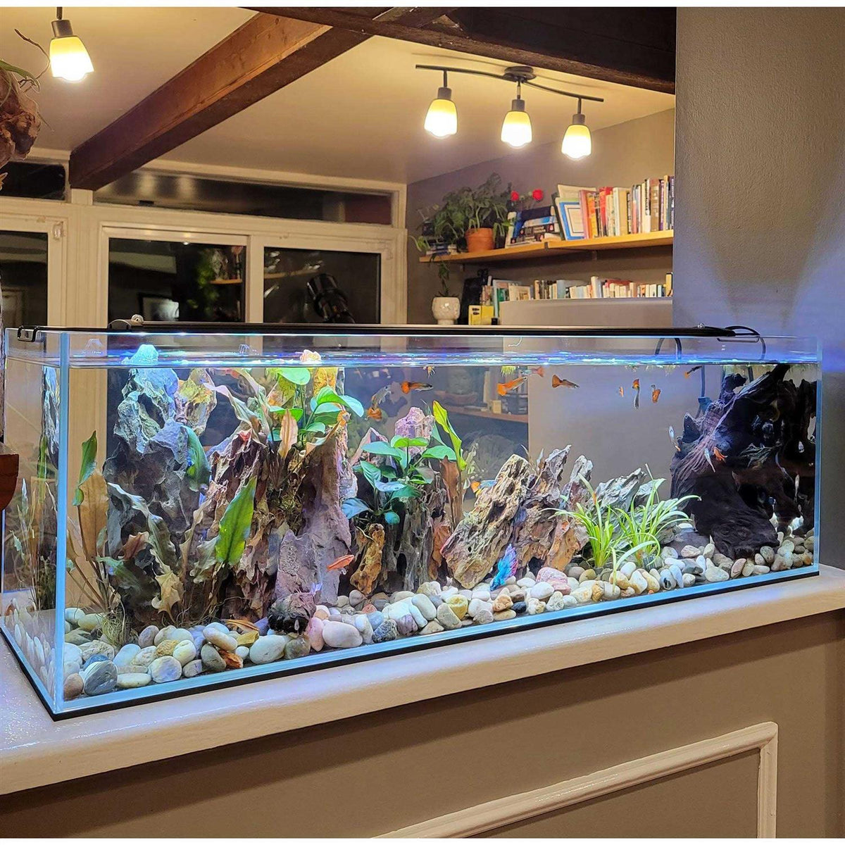Crystal Bookshelf Aquarium J911143
