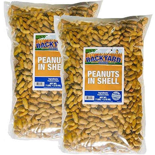 Raw Peanuts in The Shell 7 Pounds V888222