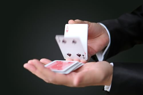 Magic Tricks Set with Magic Cards and Coins R3441