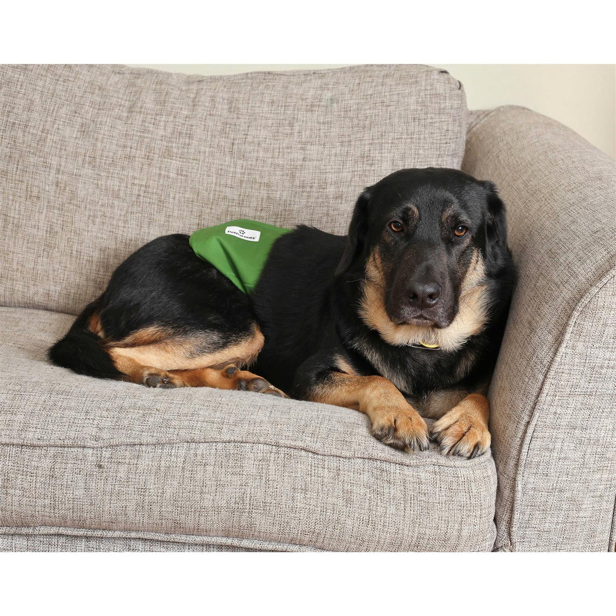 Washable Dog Belly Bands S2488