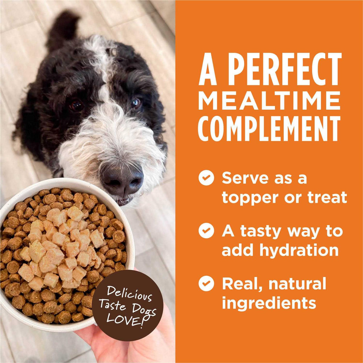 Grain Free Wet Dog Food Topper R860