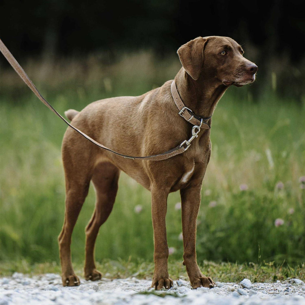 Super Soft Distressed Leather Dog Leash F260081