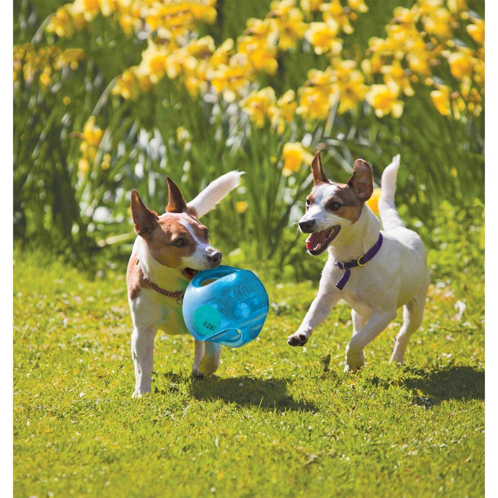 Jumbler Ball Dog Toy D219
