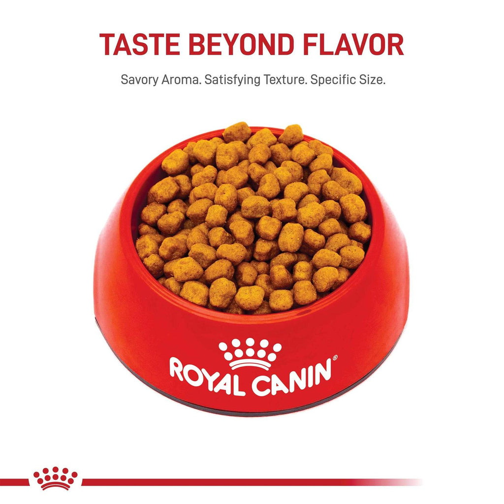 Adult Dry Dog Food F13430