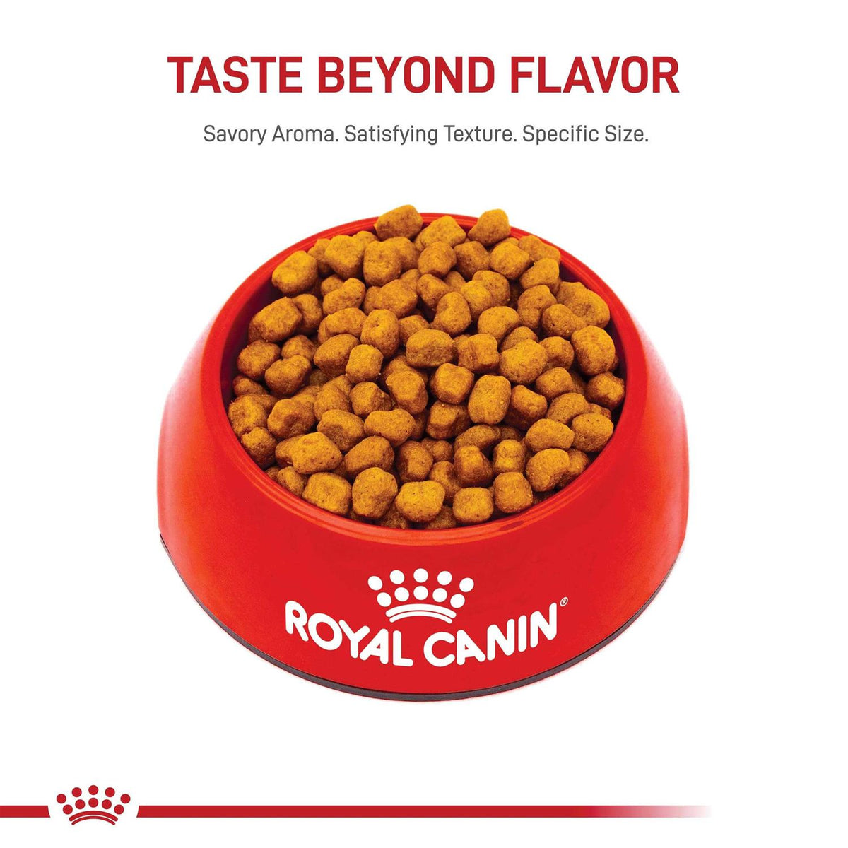 Adult Dry Dog Food F13430