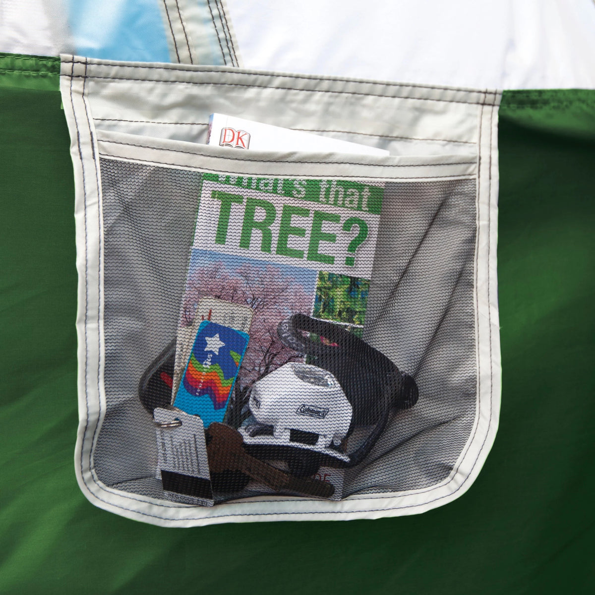 6-Person Dome Tent with Screen Room, Green A29600