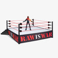 Ring and Kane Figure N431
