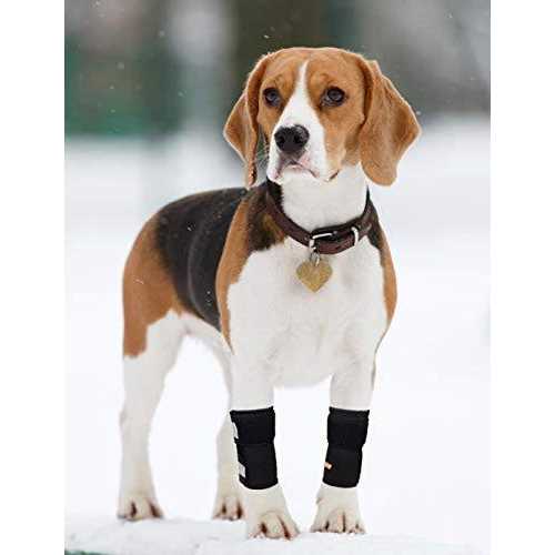 Dog Front Leg Braces and Support X114527