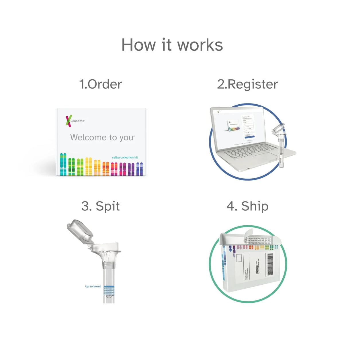DNA Test Kit with Trait Reports P73549