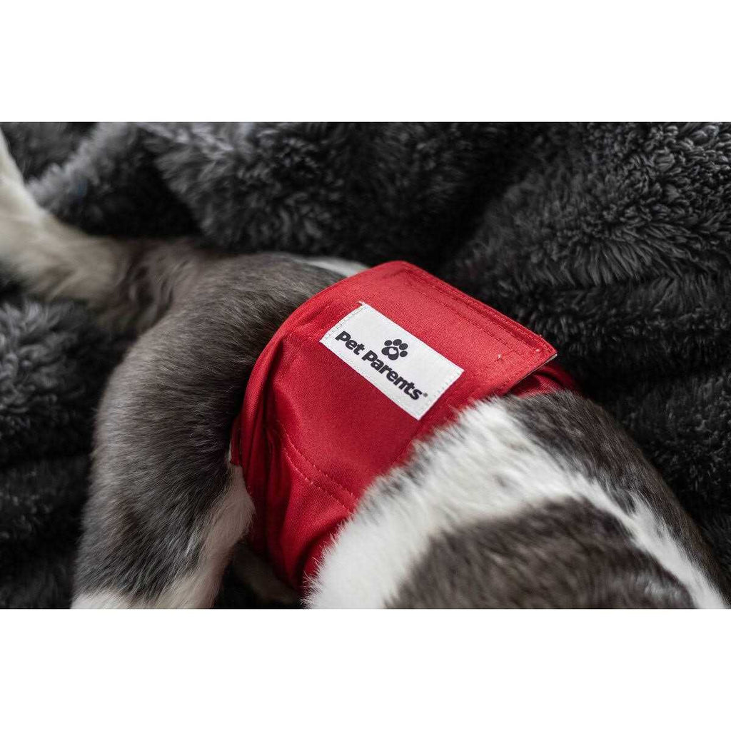 Washable Dog Belly Bands S2488