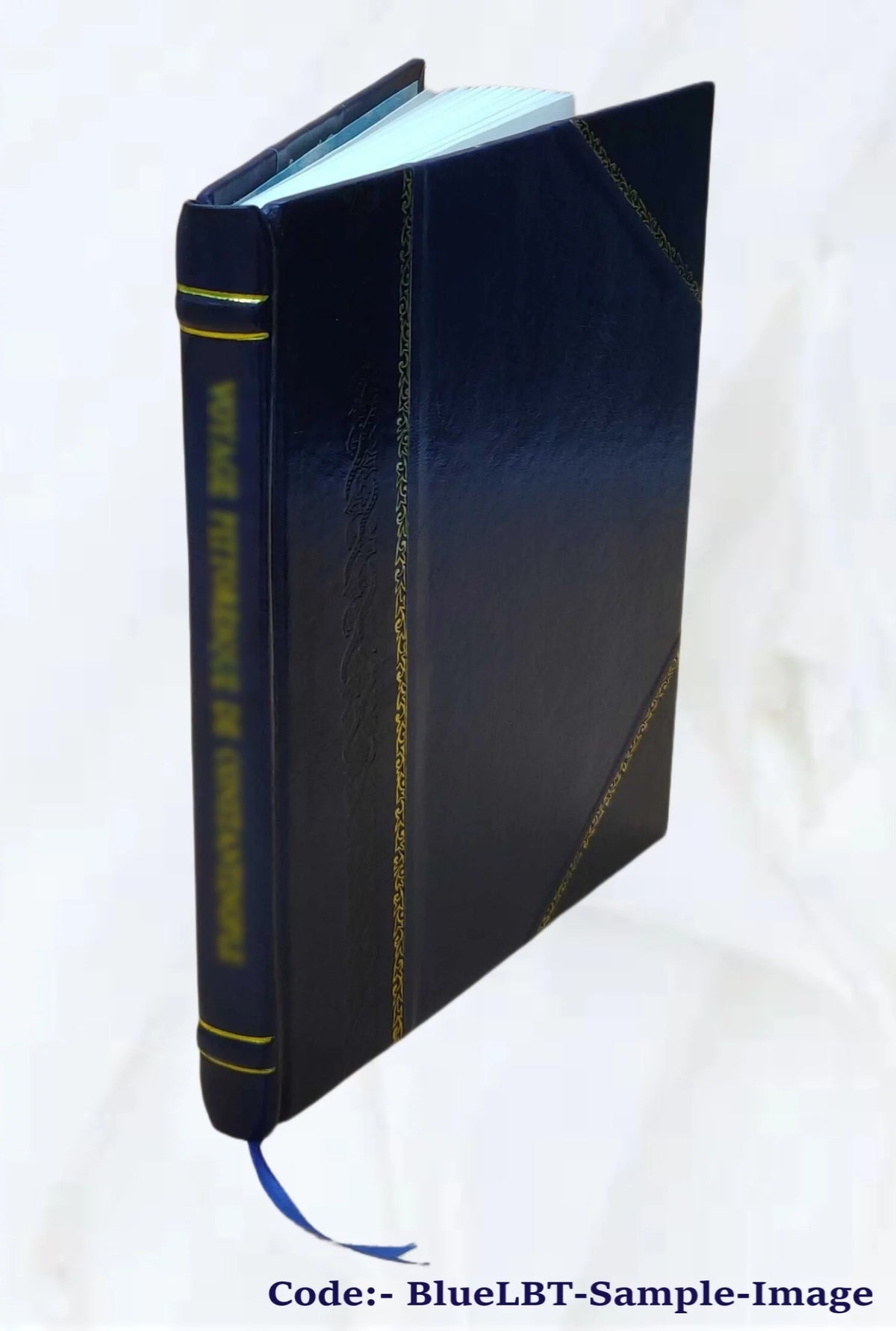 Pictorial History of the United States Leather Bound H313