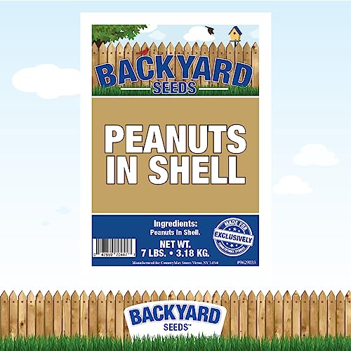 Raw Peanuts in The Shell 7 Pounds V888222