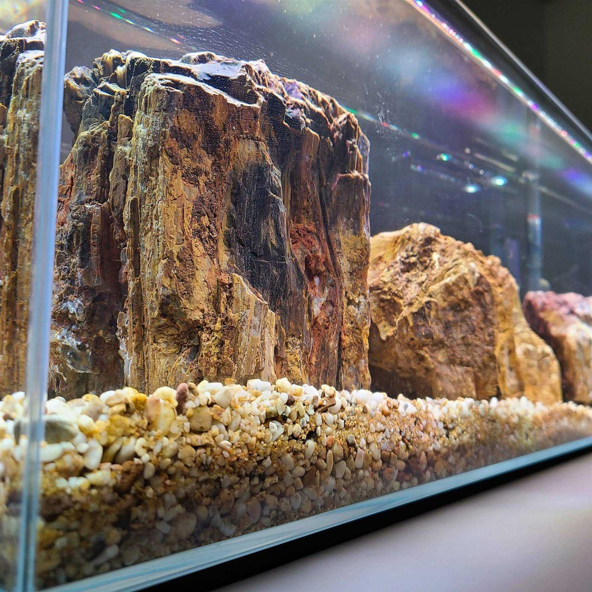 Crystal Bookshelf Aquarium J911143
