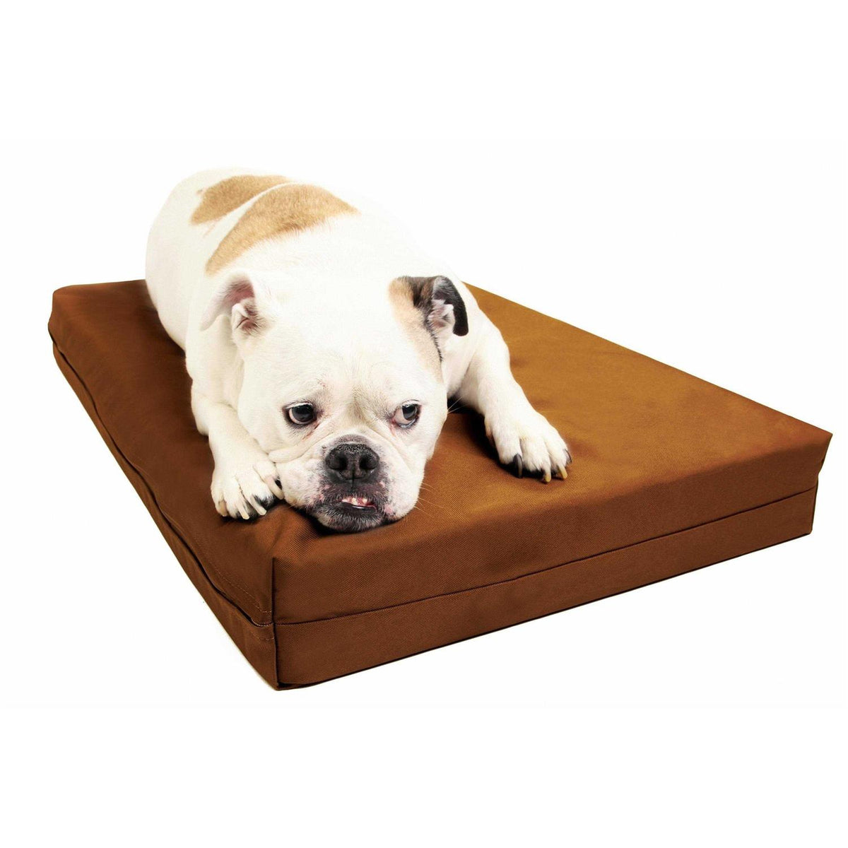 Orthopedic Crate Bed I81759