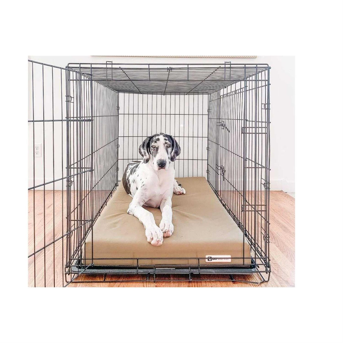 Orthopedic Crate Bed I81759