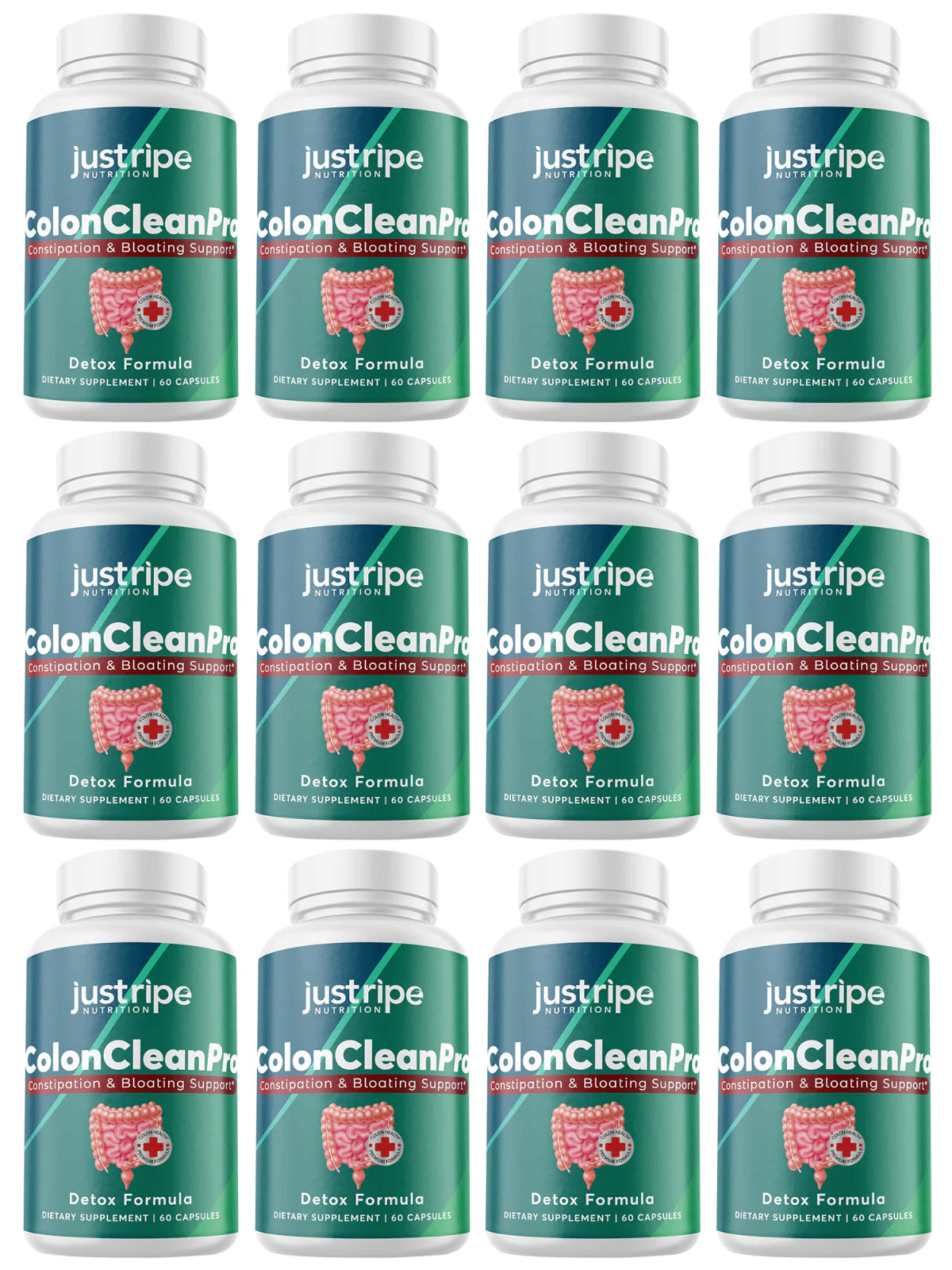 12 Pack Natural Digestive Support Supplement 60ct A2604