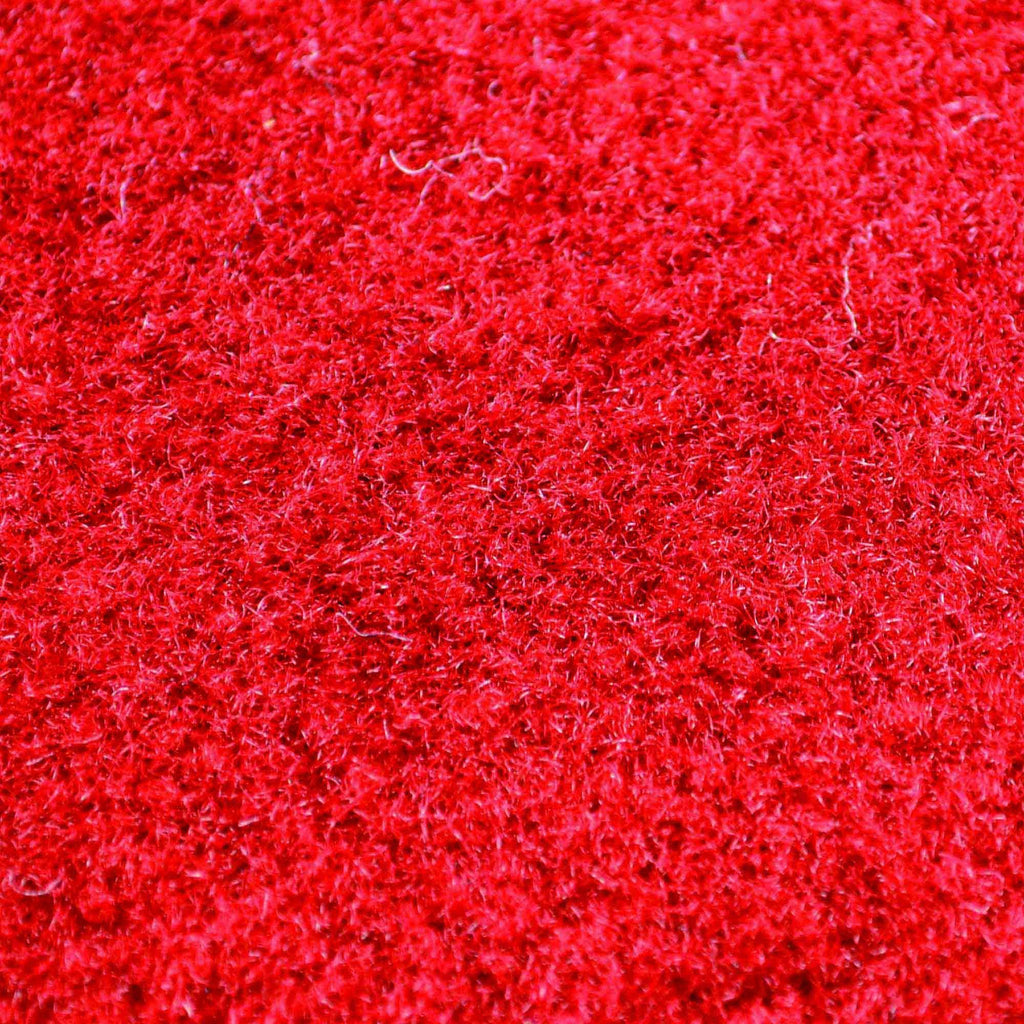 Arkansas Team Carpet Tiles C453909