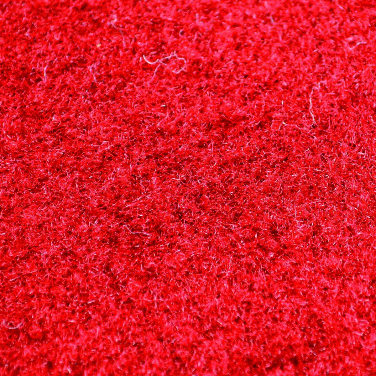 Arkansas Team Carpet Tiles C453909