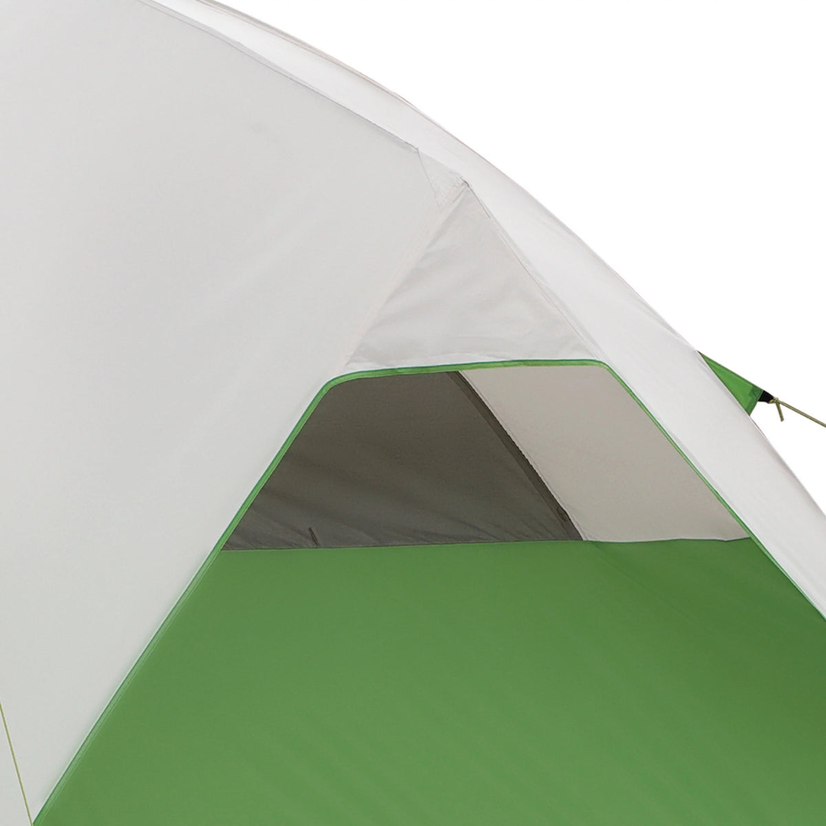 6-Person Dome Tent with Screen Room, Green A29600