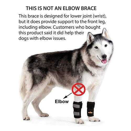 Dog Front Leg Braces and Support X114527