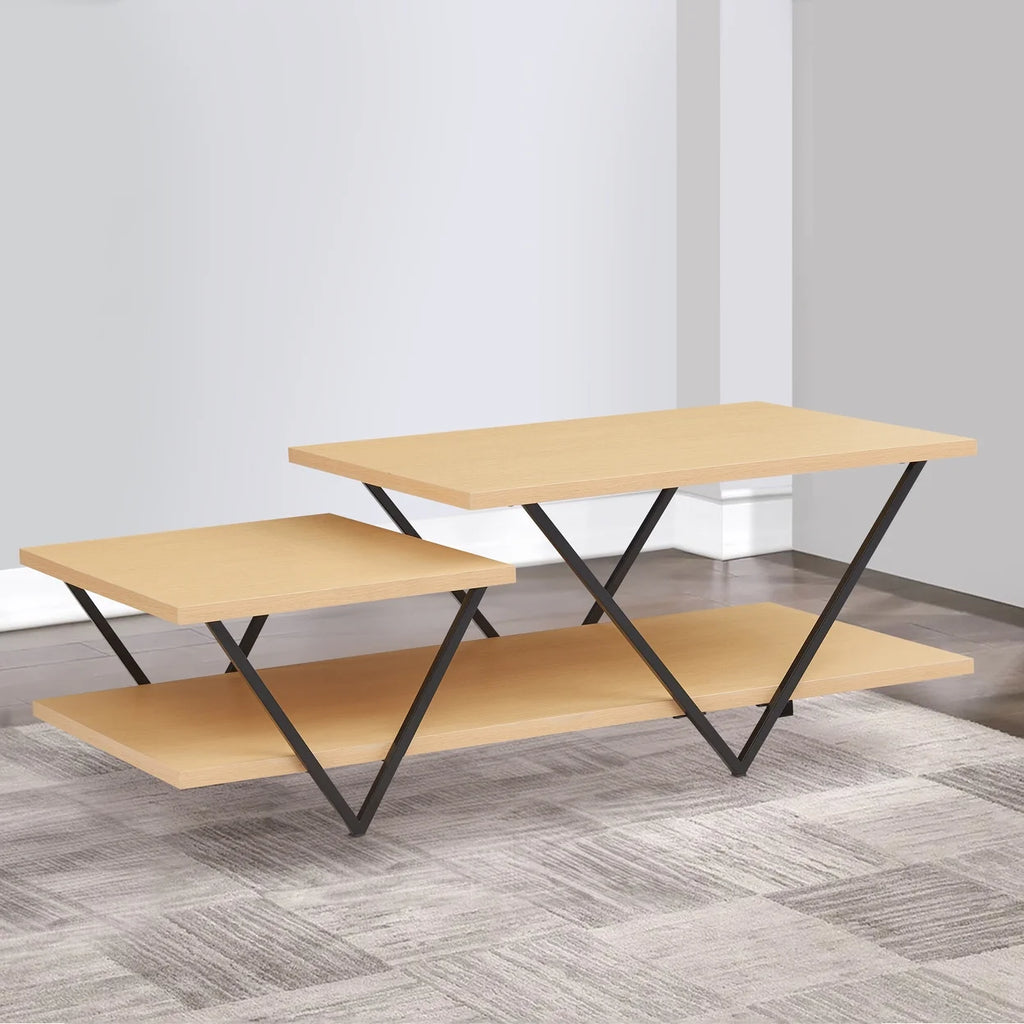48 Inch 2 Tier Coffee Table with Bottom Shelf M8842