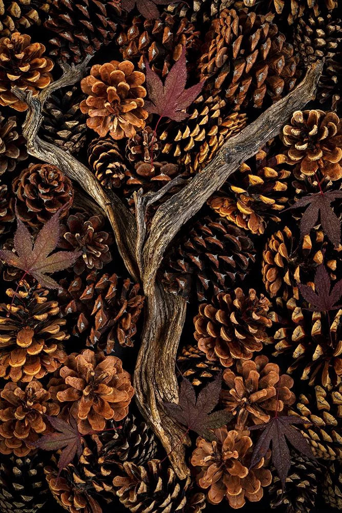 23x32 Black Ornate Wood Framed Art Print A469395