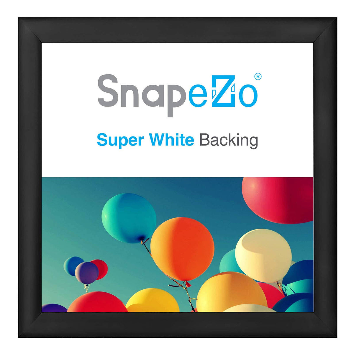 Black Snap Frame N465240