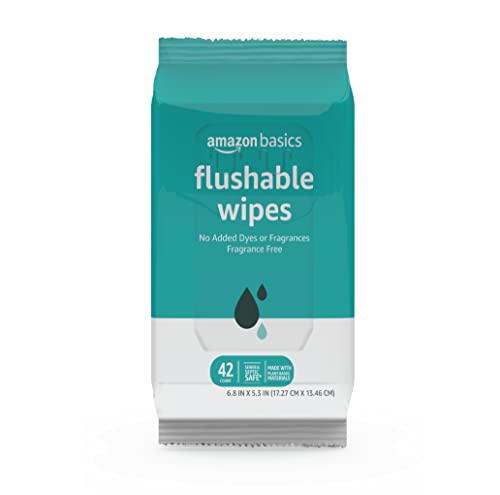 Flushable Adult Toilet Wipes, Fragrance Free, 126 Count S72524