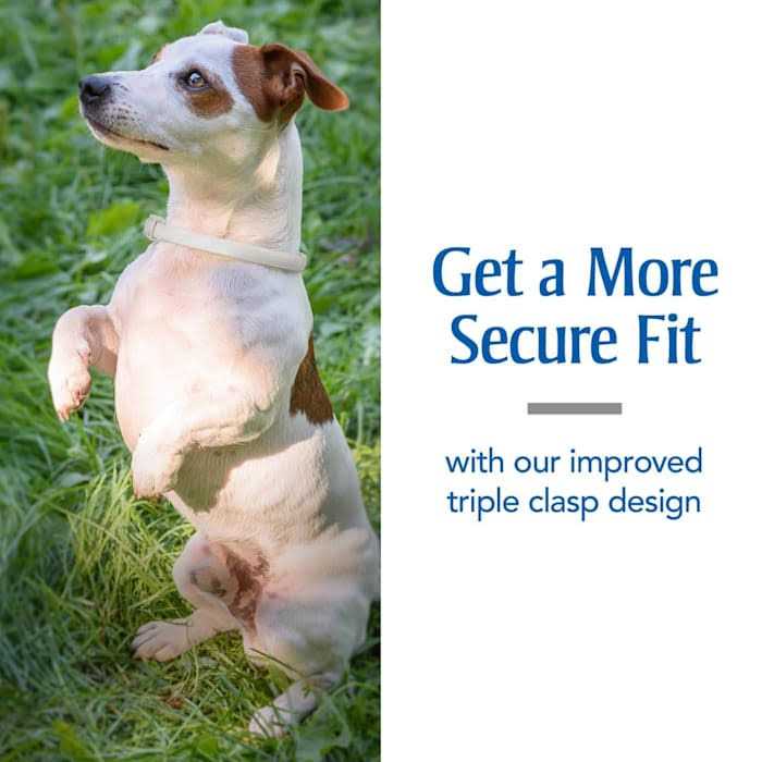 Flea & Tick Collar for Dogs X96691