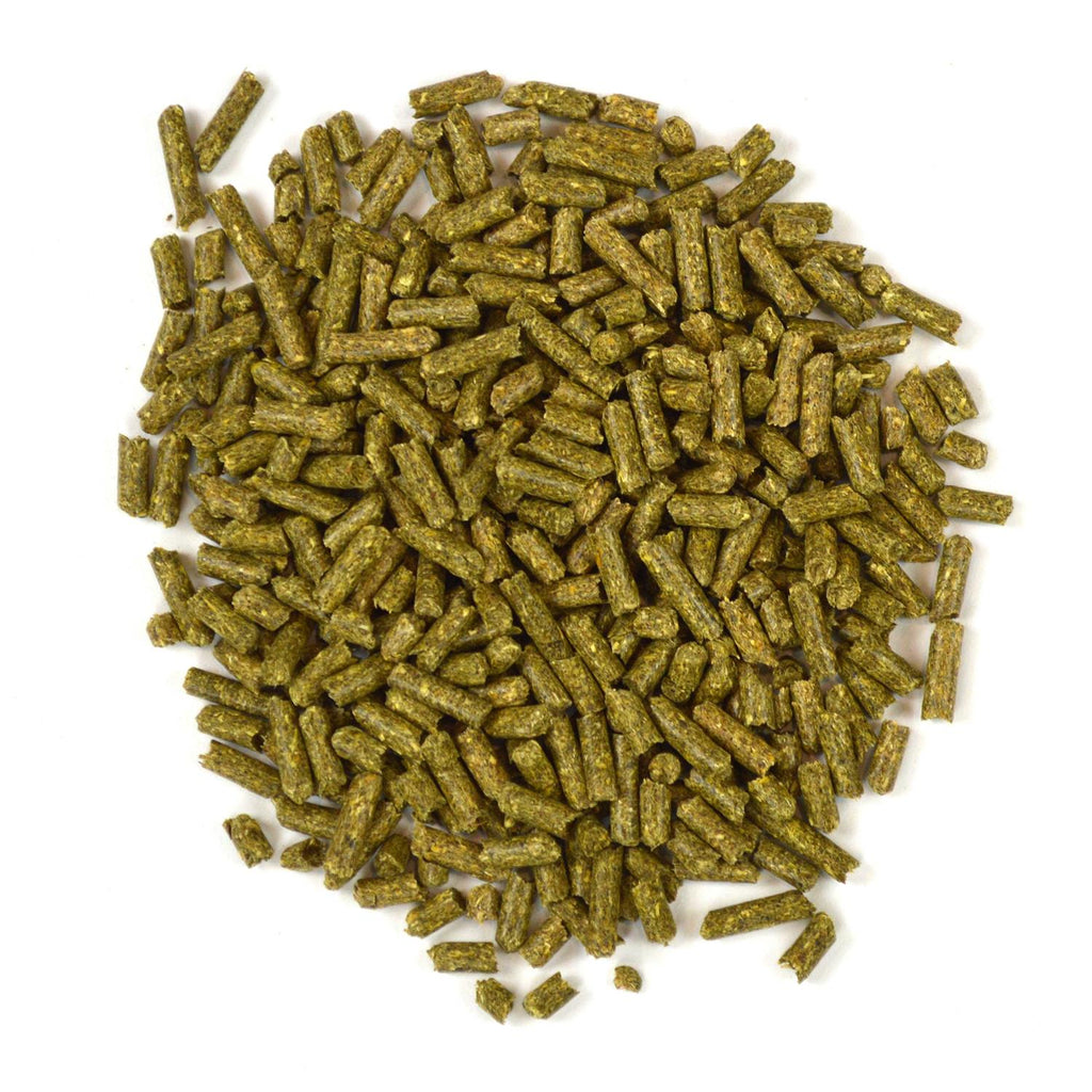 Critical Care Carnivore Pet Supplies E373