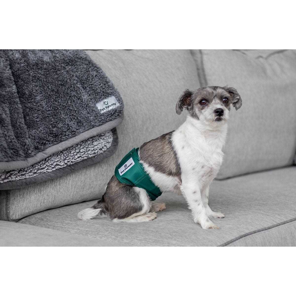 Washable Dog Belly Bands S2488