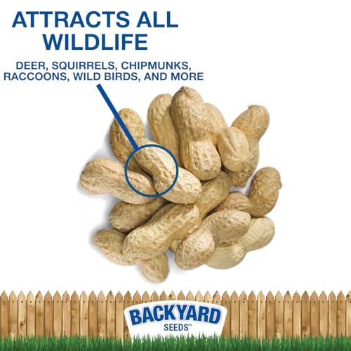 Raw Peanuts in The Shell 7 Pounds V888222
