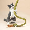 Cat Toy I687