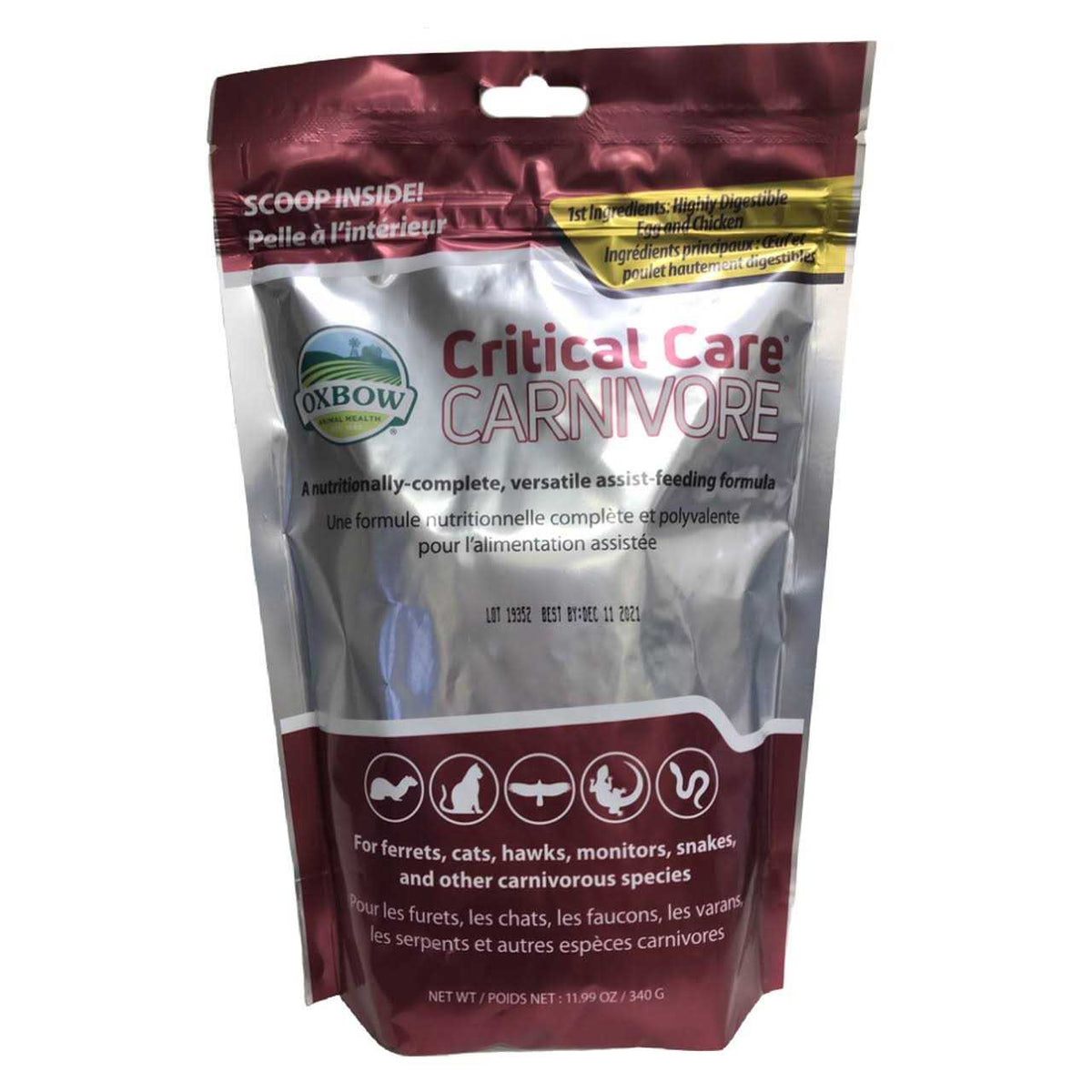 Critical Care Carnivore Pet Supplies E373