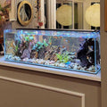 Crystal Bookshelf Aquarium J911143