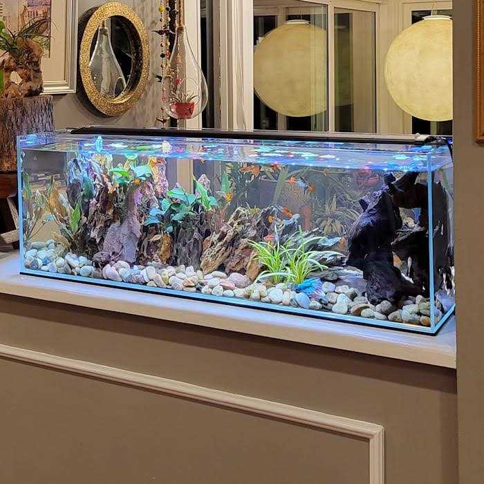 Crystal Bookshelf Aquarium J911143