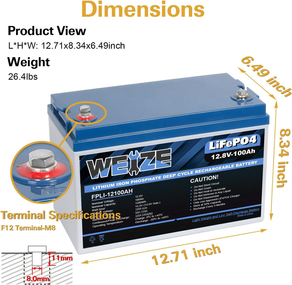 12V 100Ah LiFePO4 Lithium Battery with Smart BMS P926