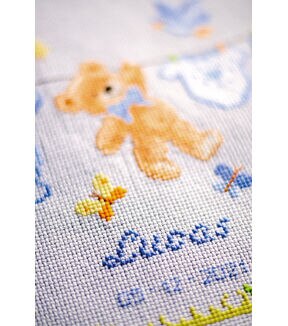 Counted Cross Stitch Kit N1300