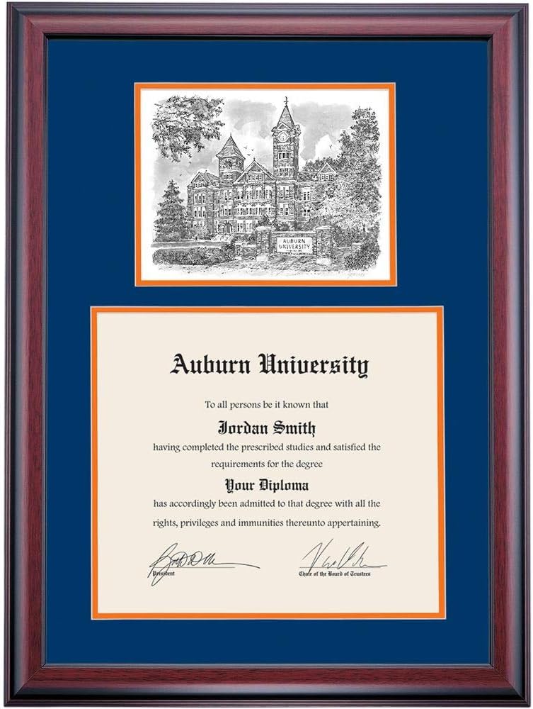 Traditional 13 x 17 Diploma Frame M8430