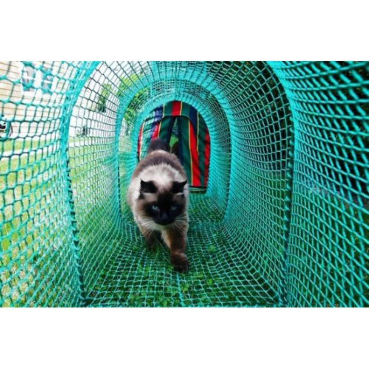 Green Outdoor Cat Enclosure R53431