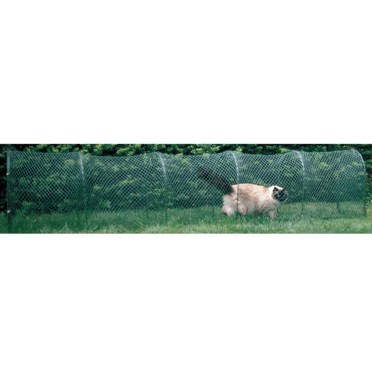 Green Outdoor Cat Enclosure R53431