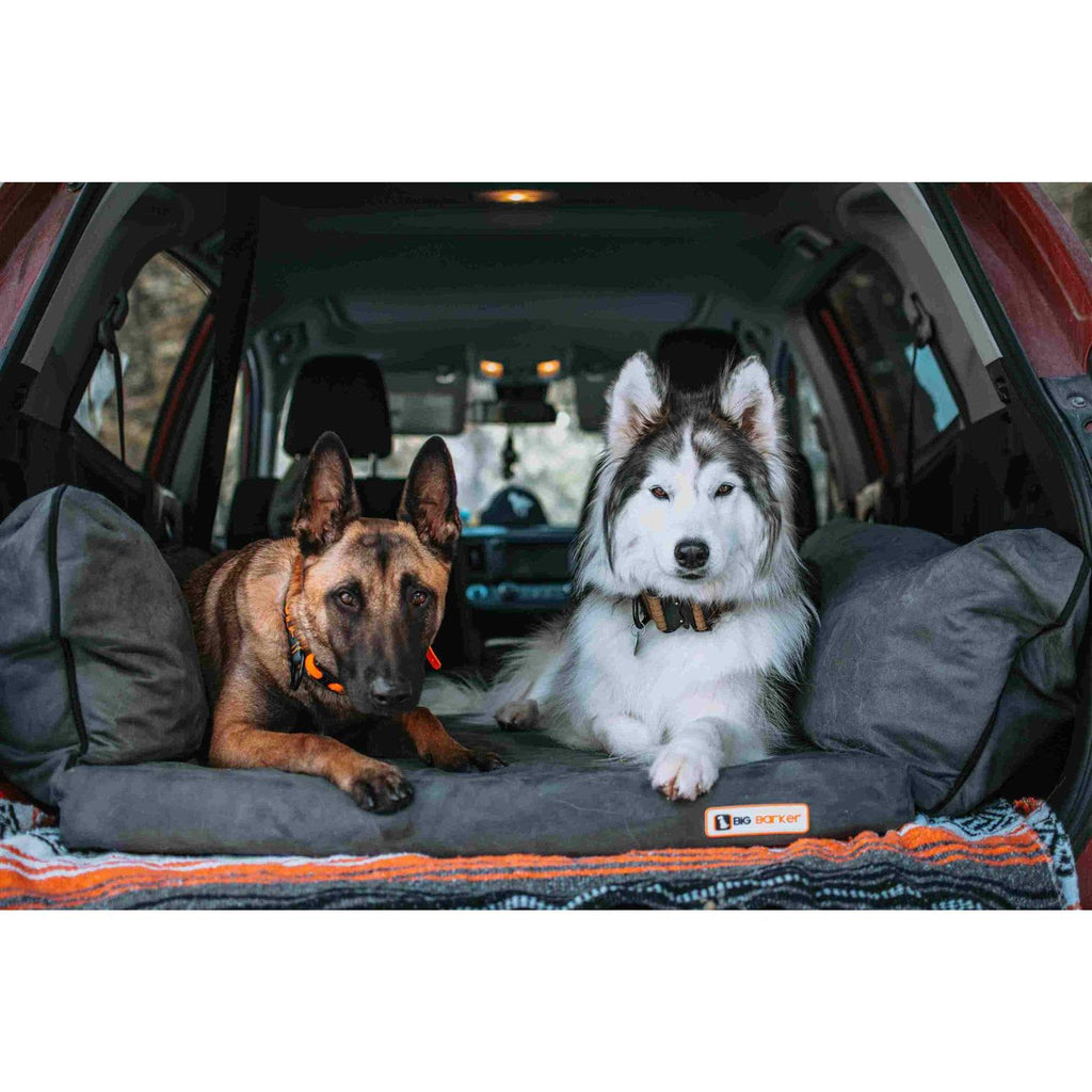 Travel Bed L214
