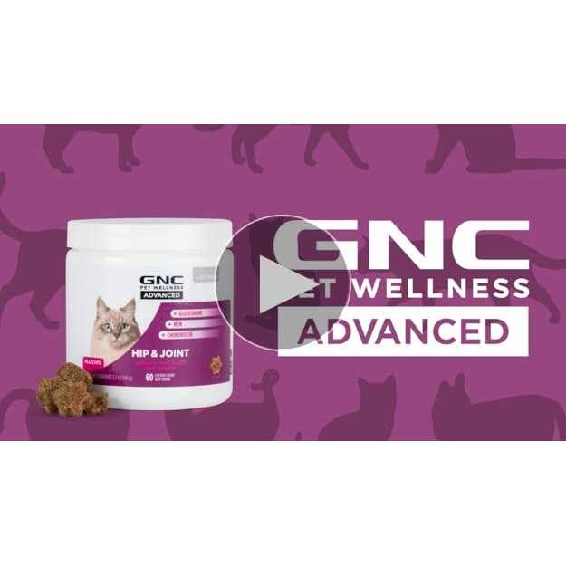 60 ct Cat Soft Chews E816662