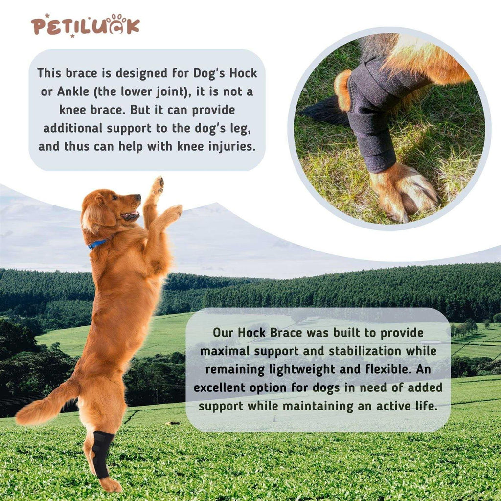 Waterproof Dog Rear Leg Hock Joint Wrap T2498