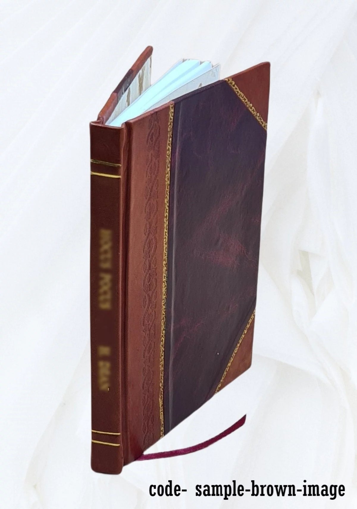 Ohio Libraries Magazine Exchange 1904 Leather Bound Q8528