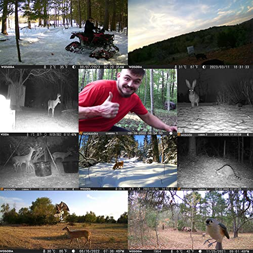 36MP Trail Camera with Night Vision Motion Activated Waterproof M6454